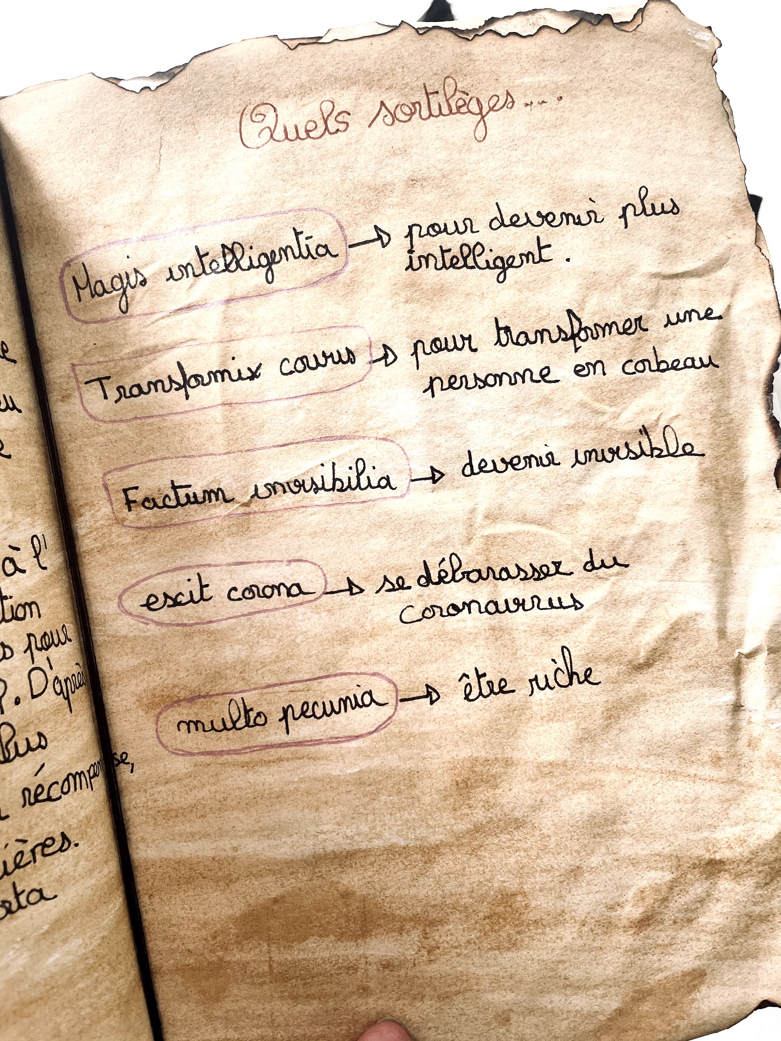 grimoire de sorcières grimoire de sorcières