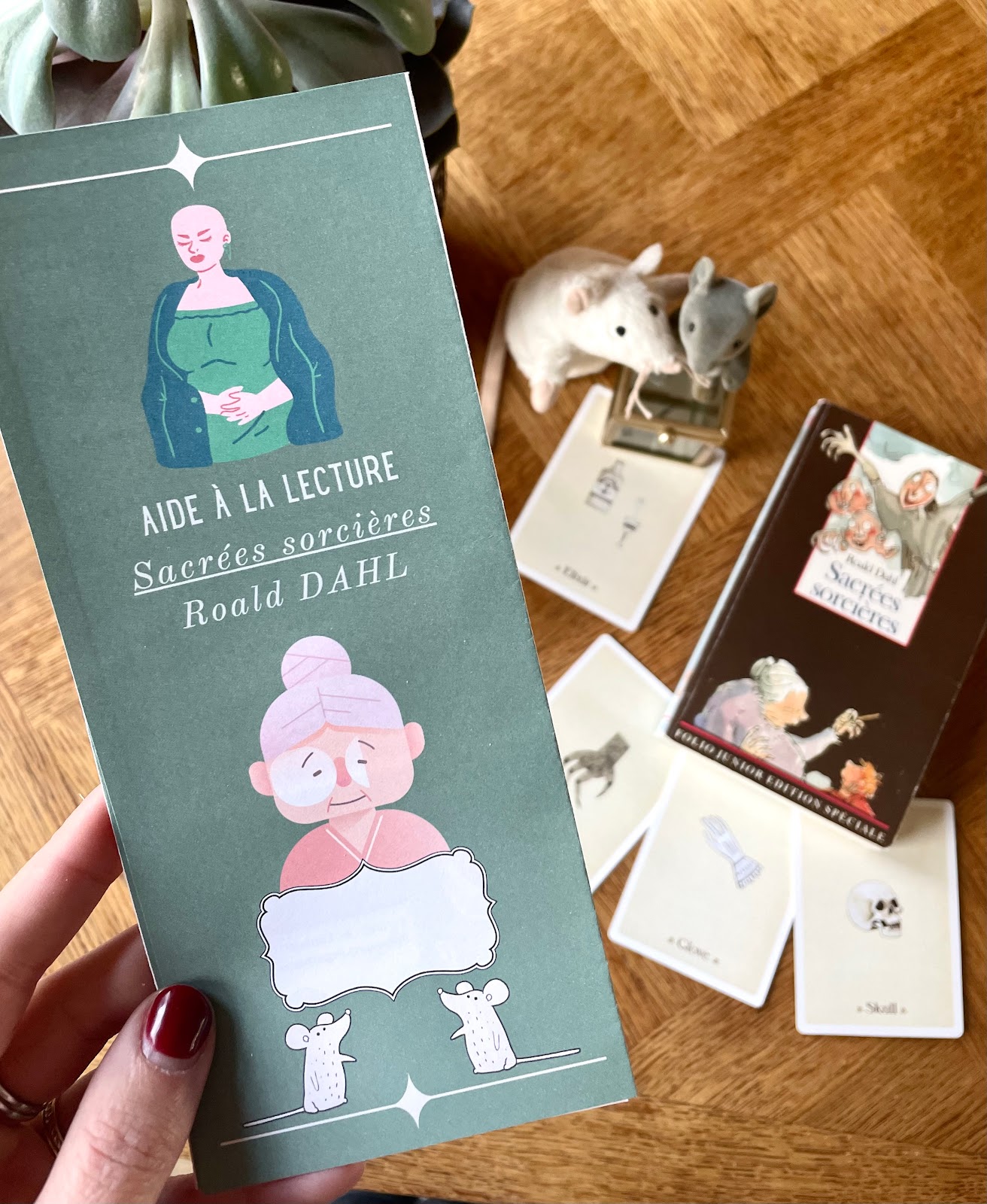 SACRÉES SORCIÈRES La lecture cursive en 6e