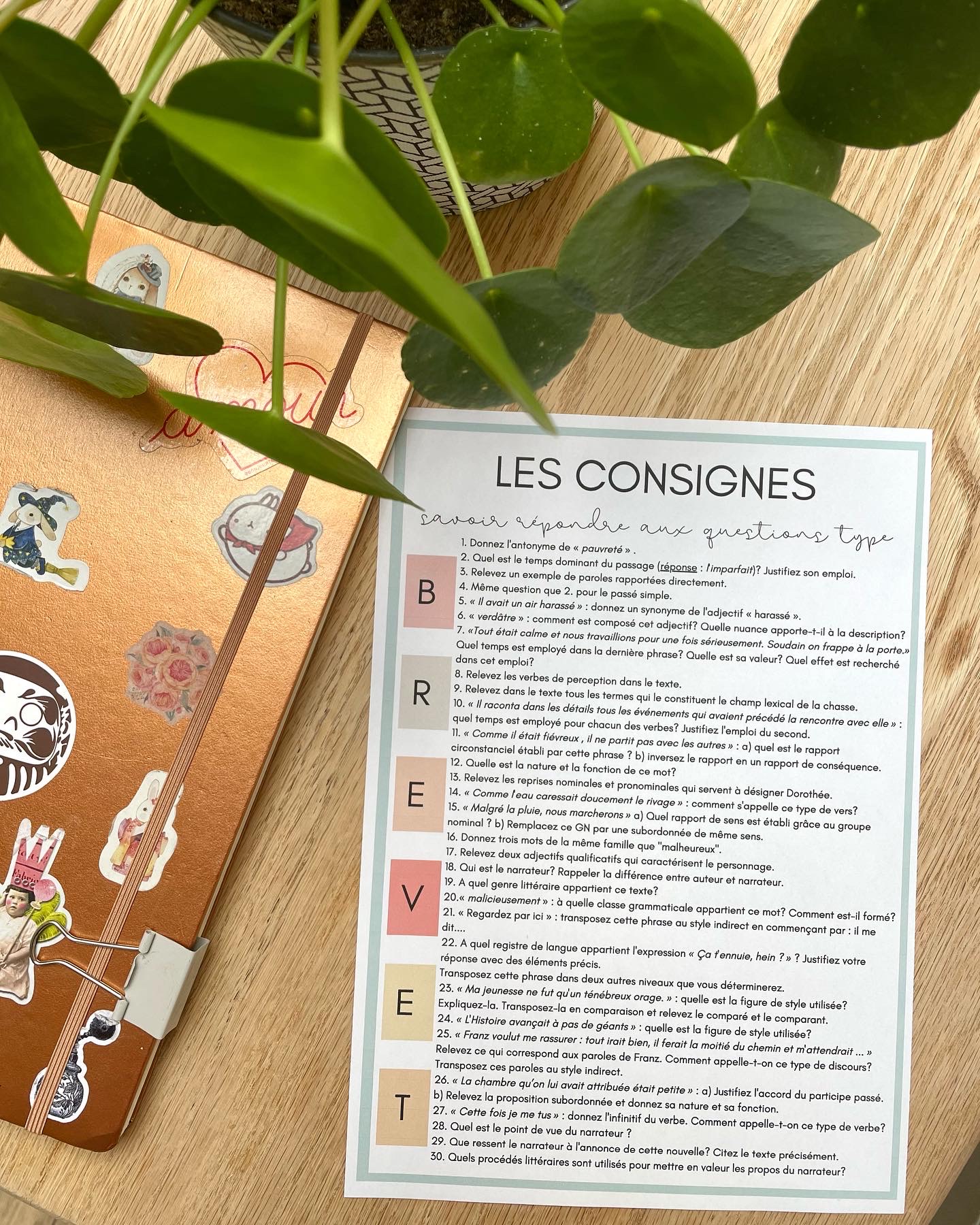 Réviser le DNB Les questions type