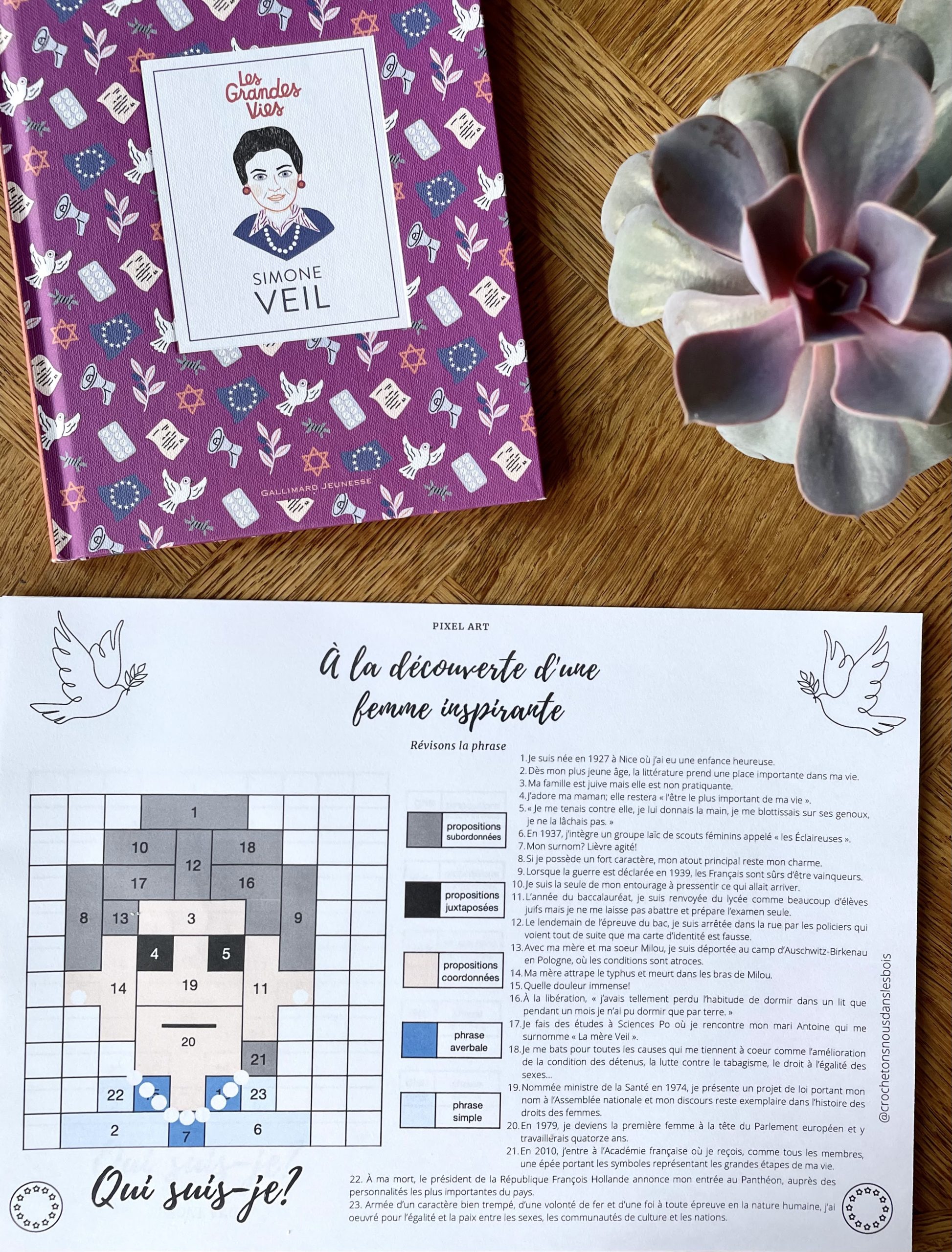 PIXEL ART Allier révisions sur la phrase et culture générale.