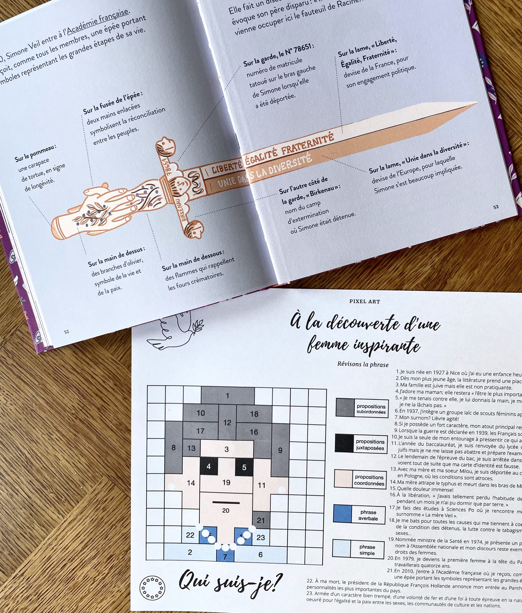 Pixel art Simone Veil révisions