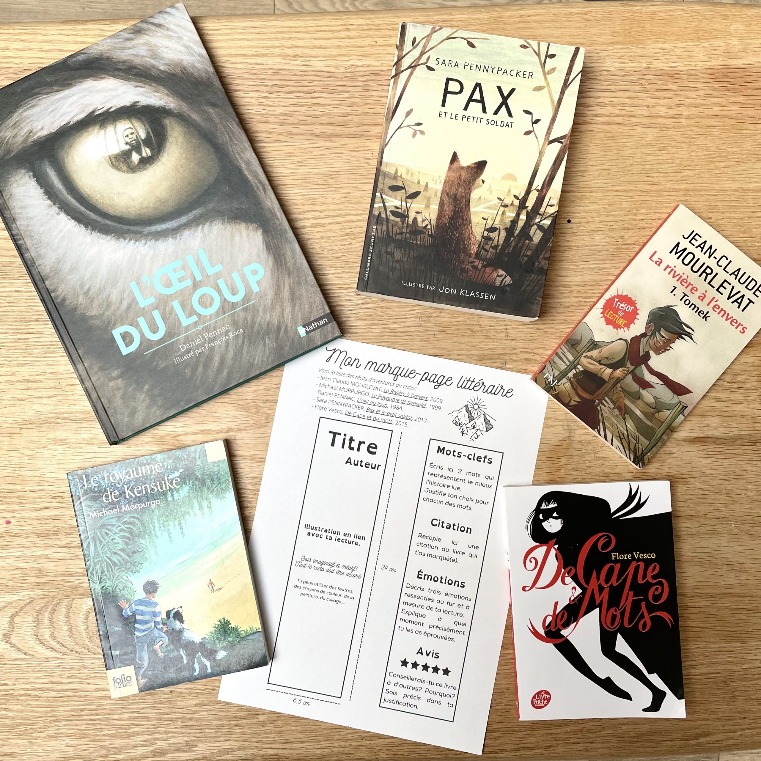 MARQUE-PAGE LITTÉRAIRE un compte-rendu de lecture bref et inventif
