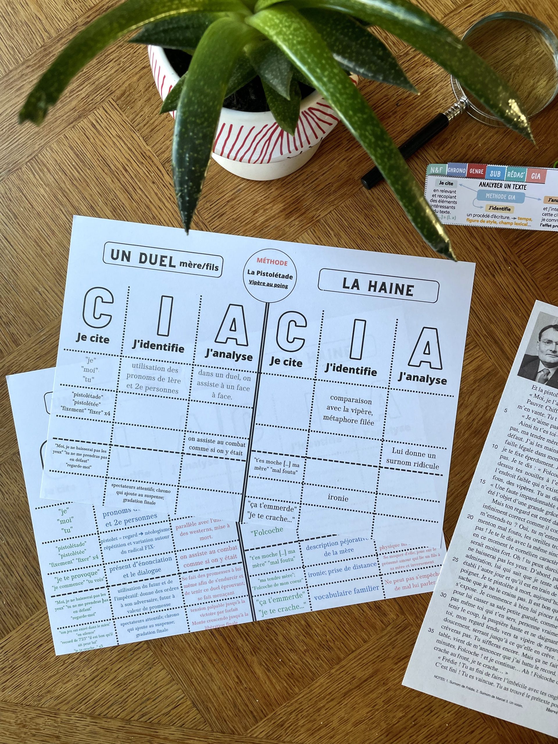 methode CIA Vipère au poing