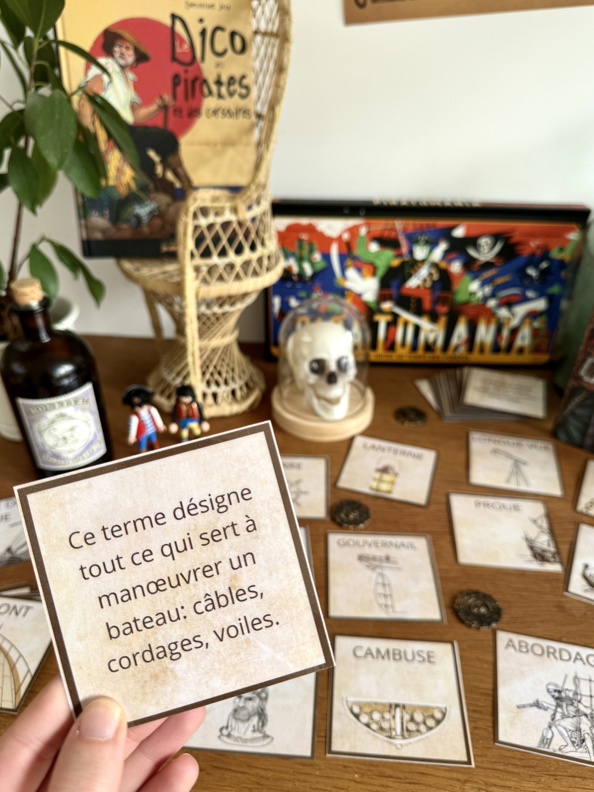 Entrer en piraterie - séance d'introduction 6e