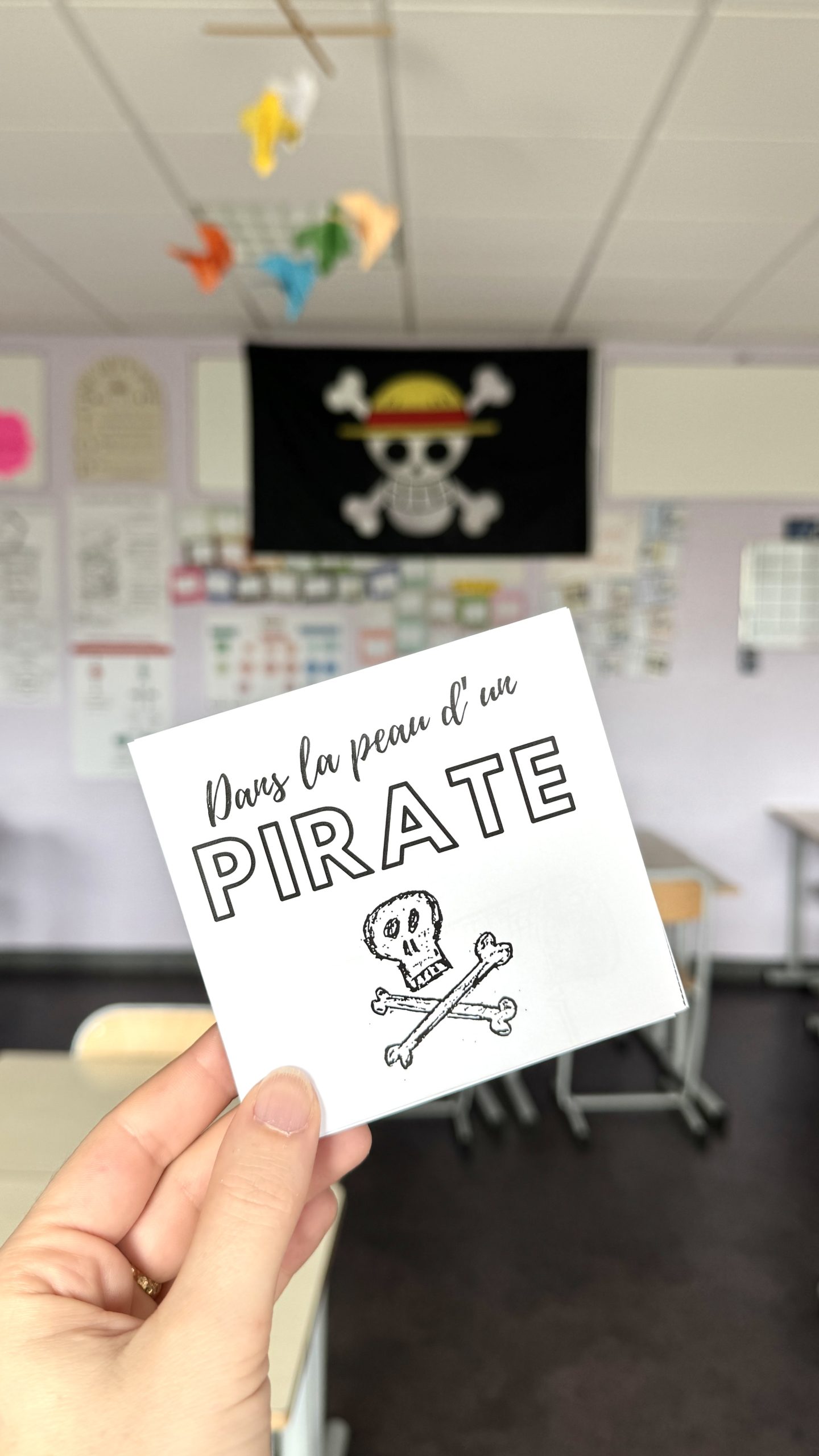 DANS LA PEAU D&rsquo;UN PIRATE projet d&rsquo;écriture au long cours…