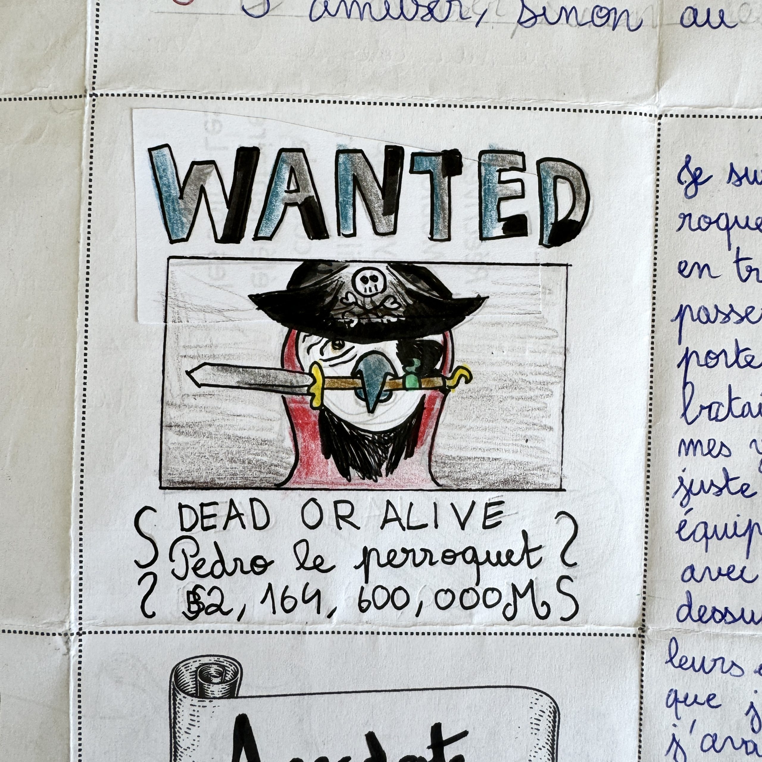 dans la peau d'un pirate