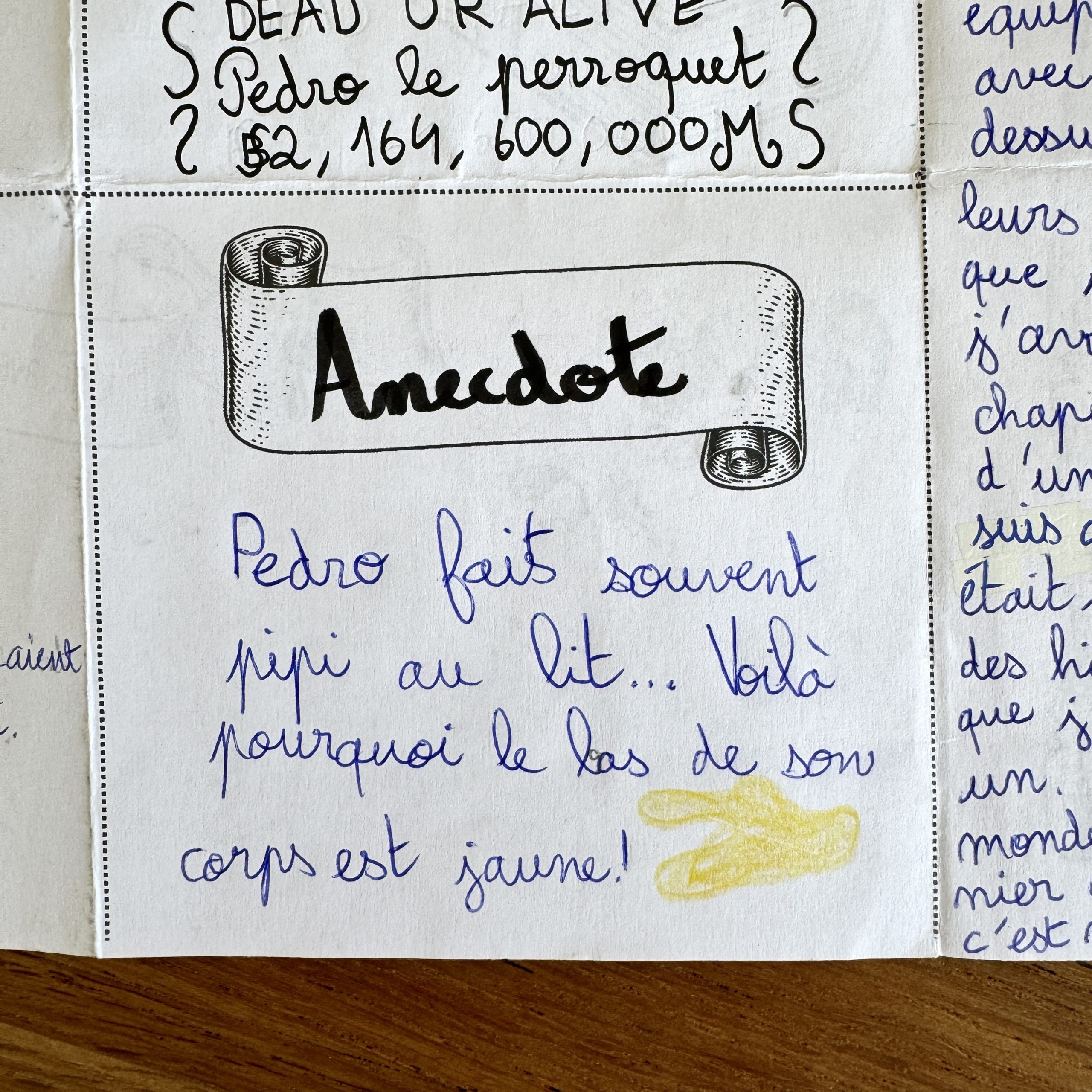 dans la peau d'un pirate