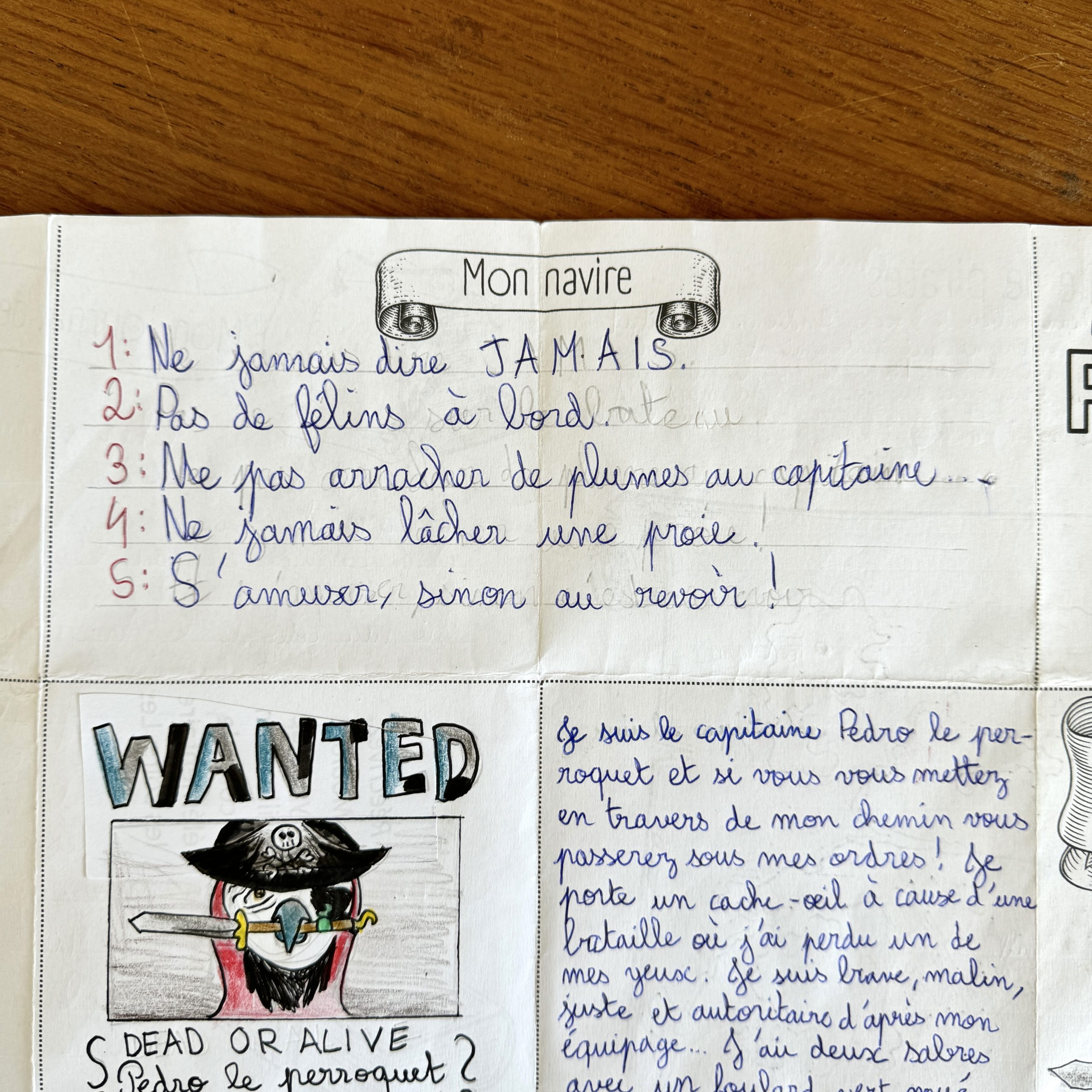 dans la peau d'un pirate