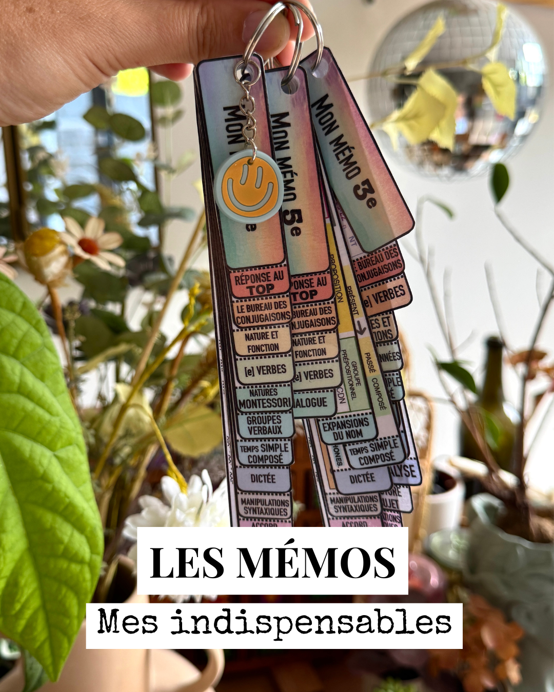MES MÉMOS DE FRANÇAIS nouvelle version!